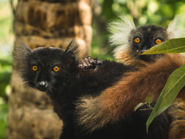 Olivier Behra Conférences